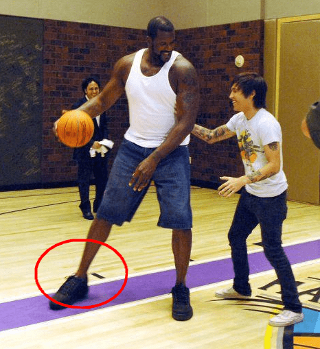 奏覆盖个体 奏覆盖个体